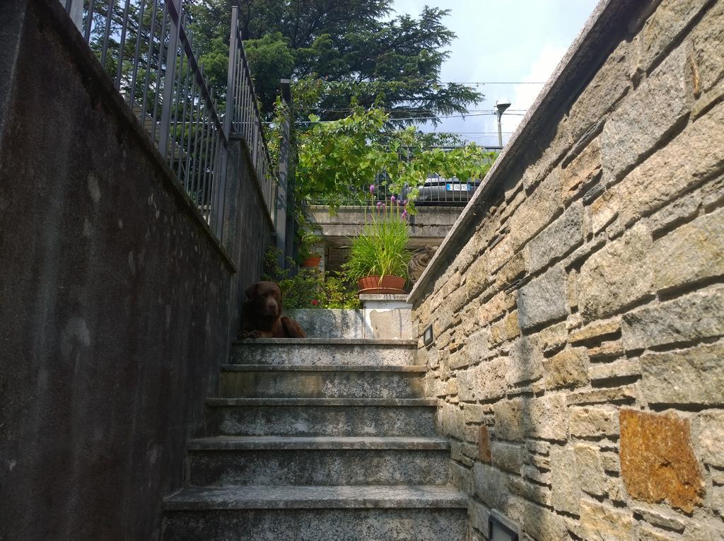 Venanzio! Apartment Pianello Del Lario Exterior photo
